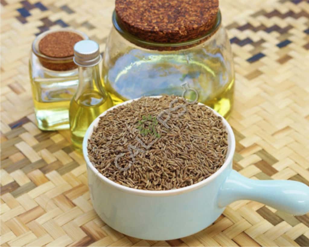 Aceite de especias de semillas de alcaravea